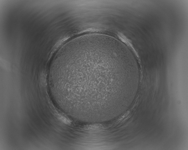 X0000056370106200509021825