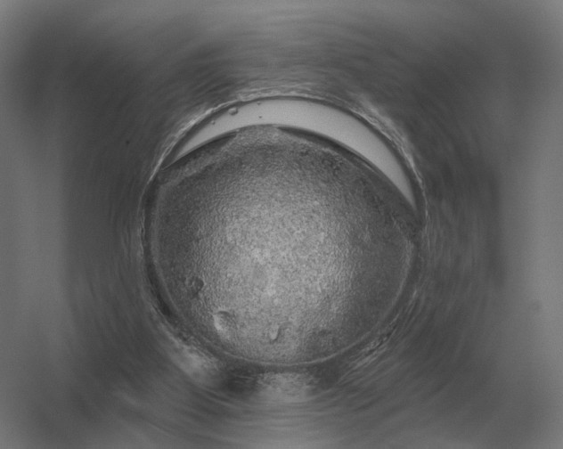 X0000056370107200509021825