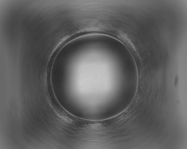 X0000056370108200509021825