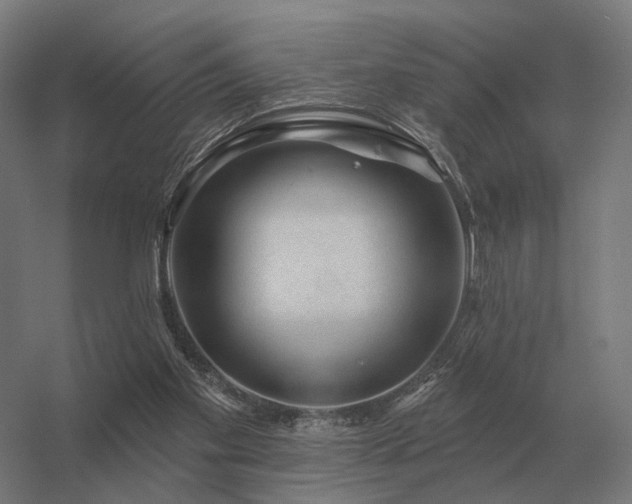 X0000056370109200509021825