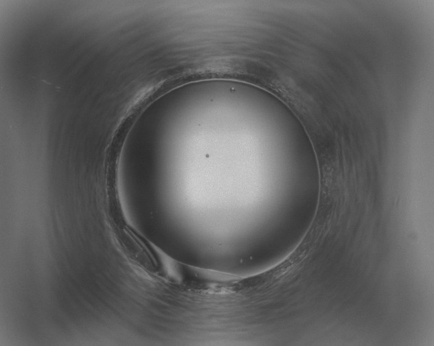 X0000056370112200509021824