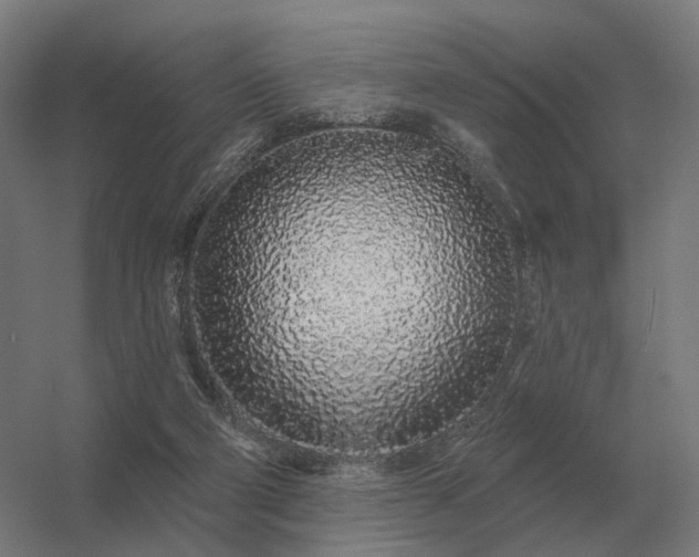 X0000056370114200509021824