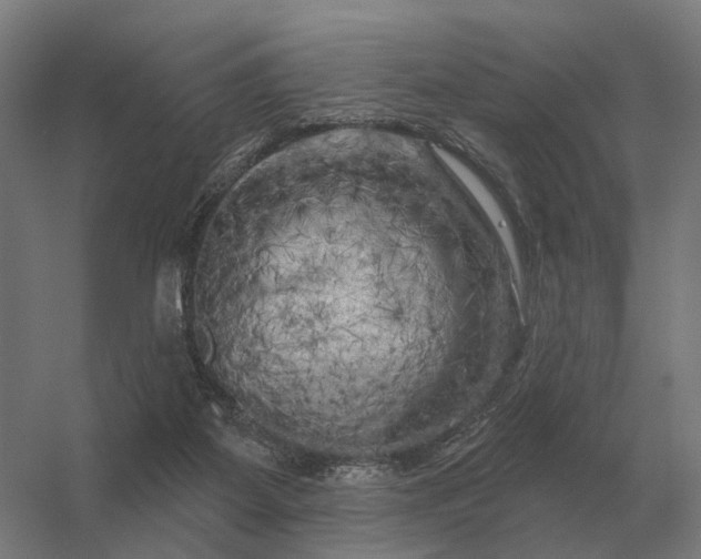 X0000056370115200509021824