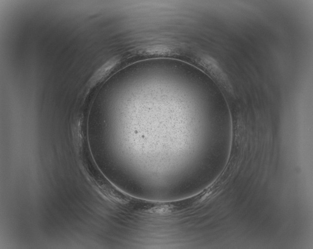 X0000056370116200509021824