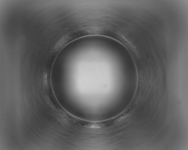 X0000056370117200509021824