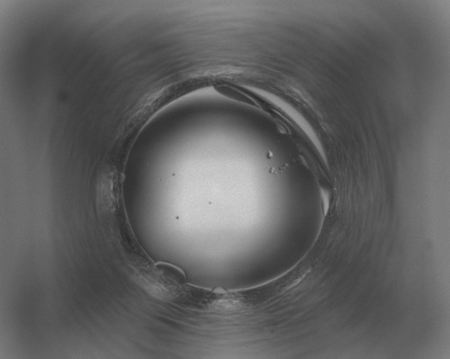 X0000056370119200509021824