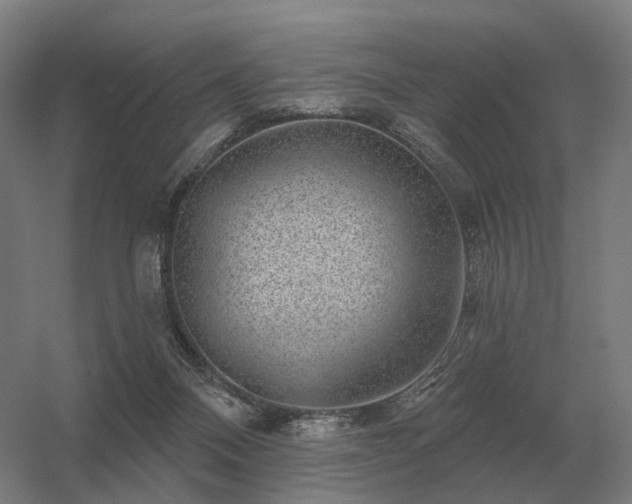 X0000056370120200509021824