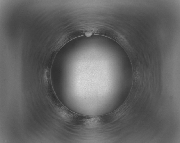 X0000056370122200509021824