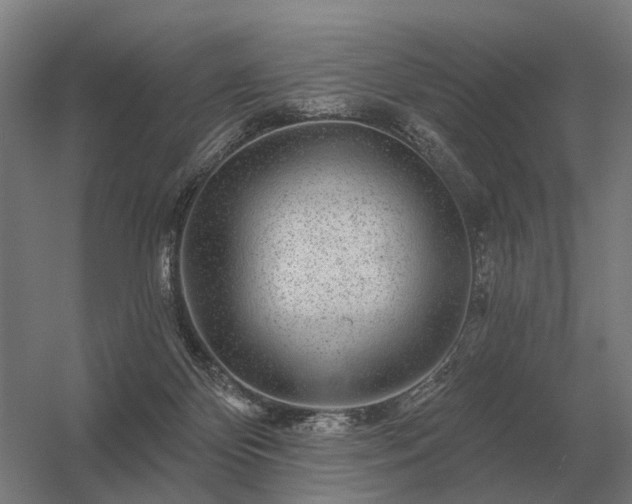 X0000056370124200509021824