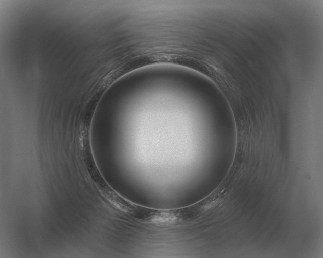 X0000056370125200509021824