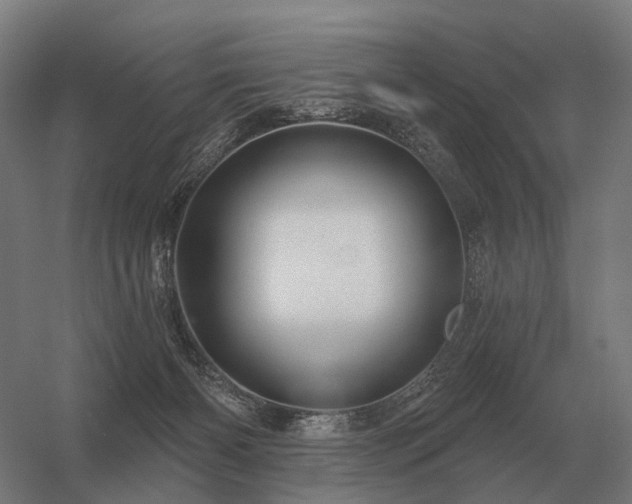 X0000056370126200509021824