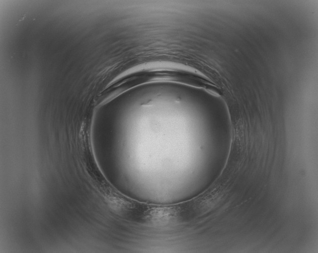 X0000056370127200509021824