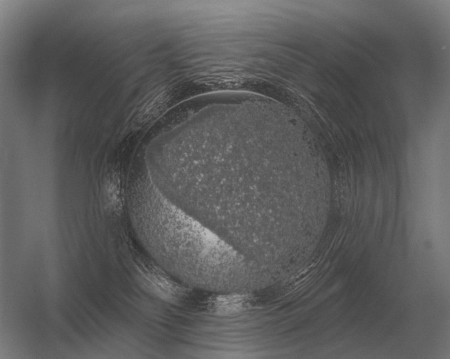 X0000056370134200509021824