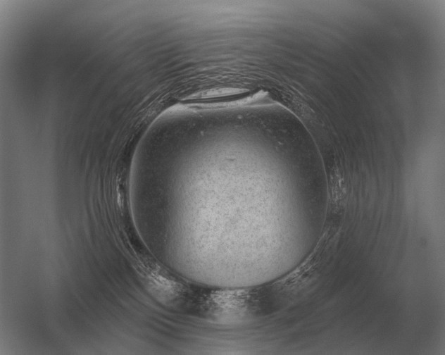 X0000056370136200509021824