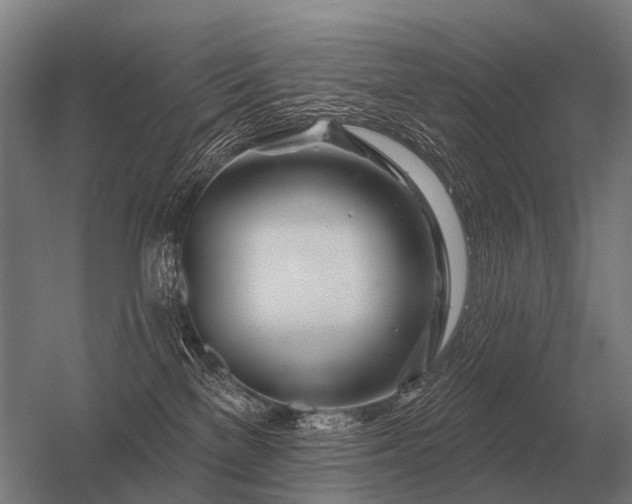 X0000056370137200509021824