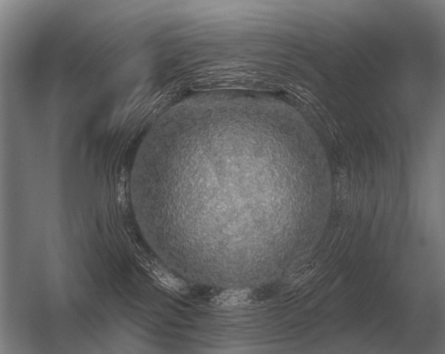 X0000056370138200509021824