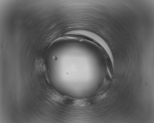 X0000056370141200509021824