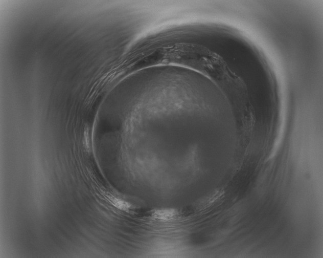 X0000056370143200509021824