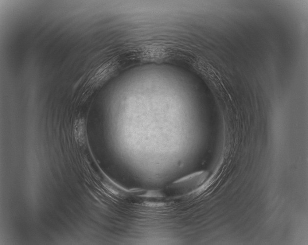 X0000056370144200509021824