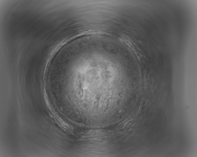 X0000056370145200509021823