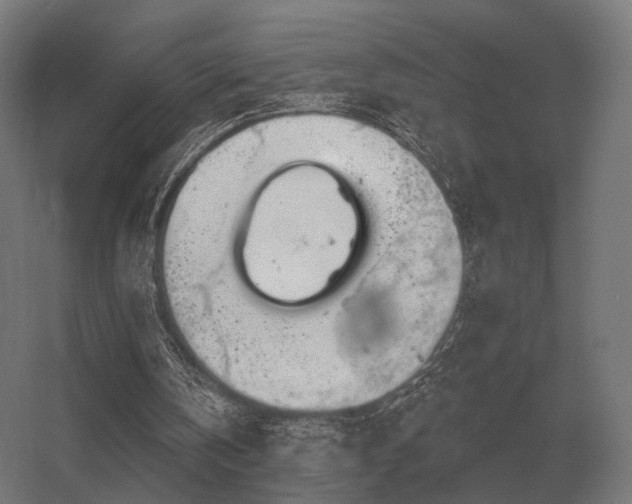 X0000056370146200509021823