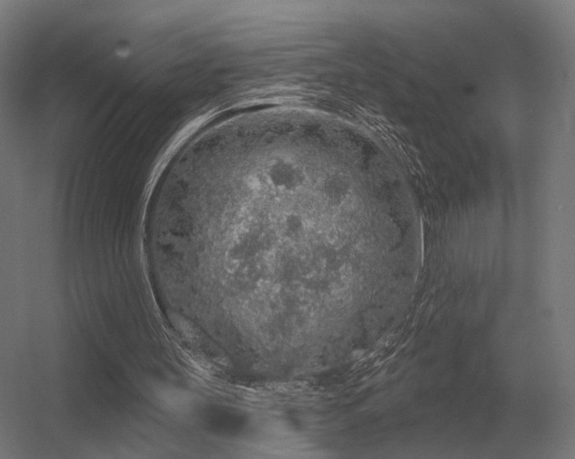 X0000056370147200509021823