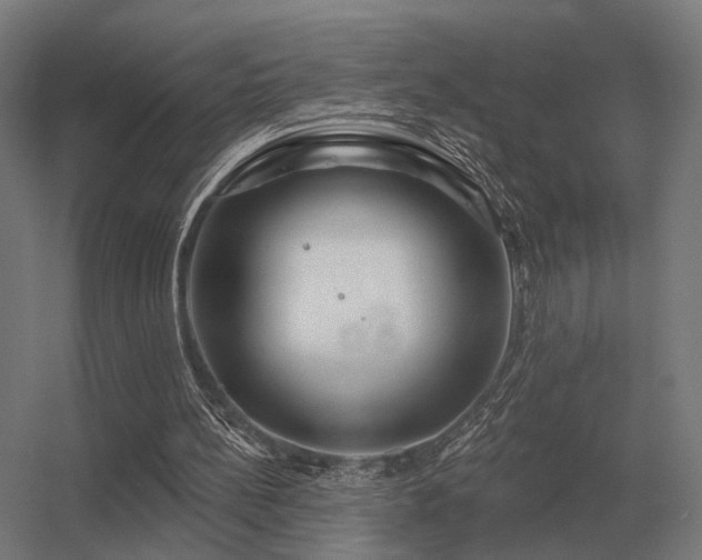 X0000056370148200509021823