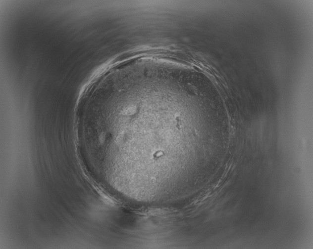 X0000056370149200509021823