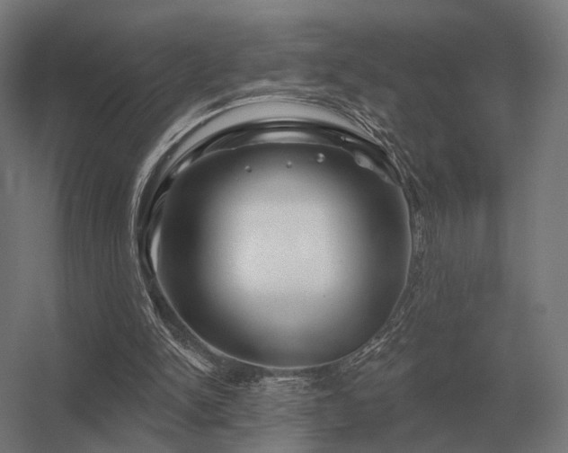 X0000056370150200509021823