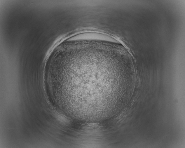 X0000056370151200509021823