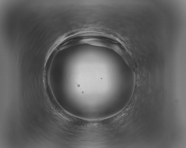 X0000056370152200509021823