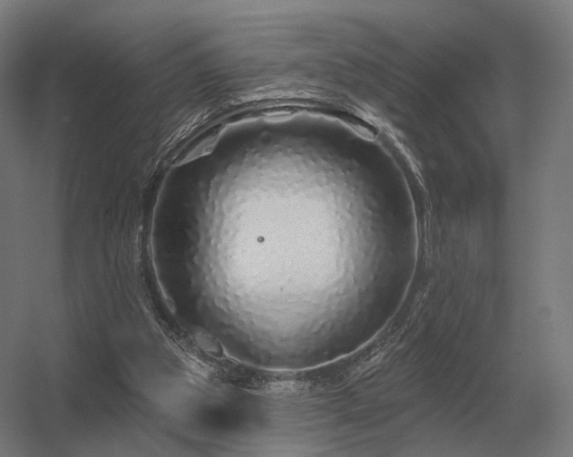 X0000056370153200509021823