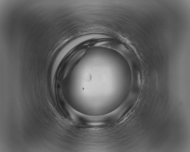 X0000056370154200509021823