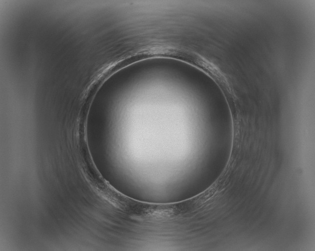 X0000056370155200509021823