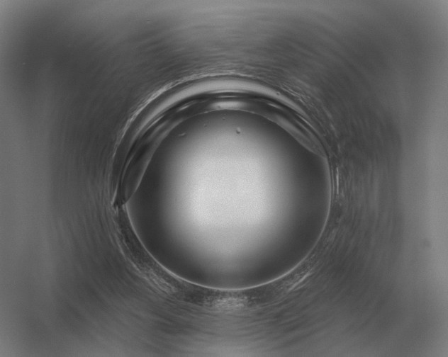 X0000056370156200509021823