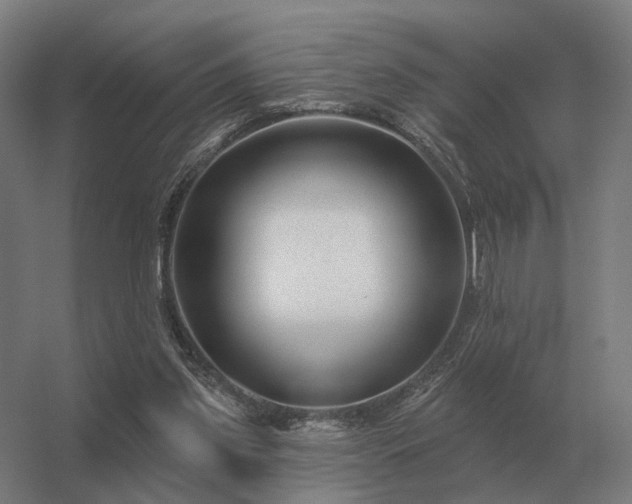 X0000056370157200509021823