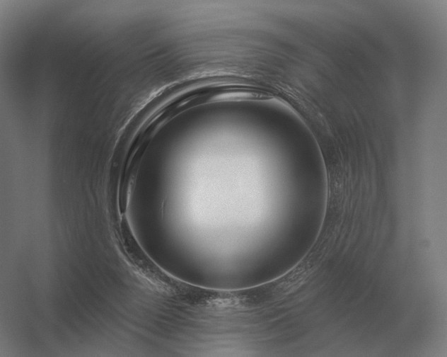 X0000056370160200509021823