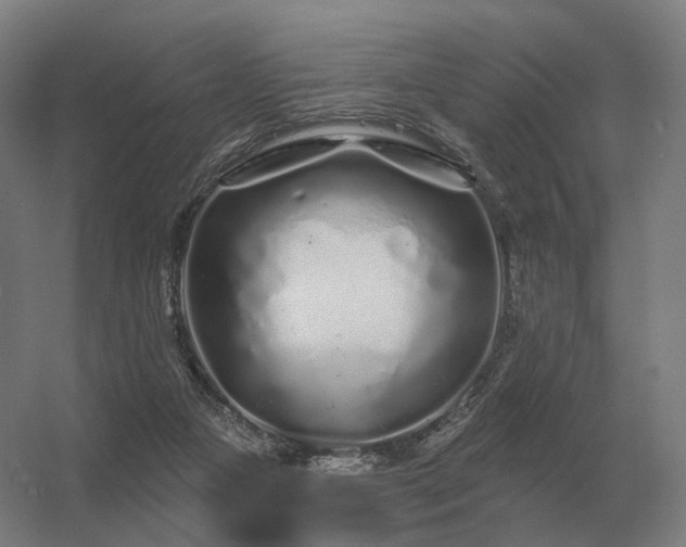 X0000056370161200509021823