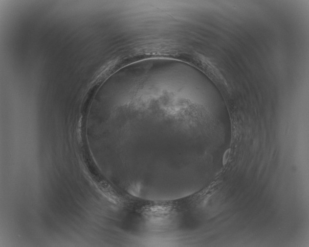 X0000056370163200509021823