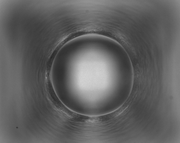 X0000056370164200509021823