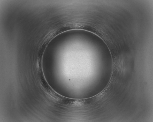 X0000056370166200509021823