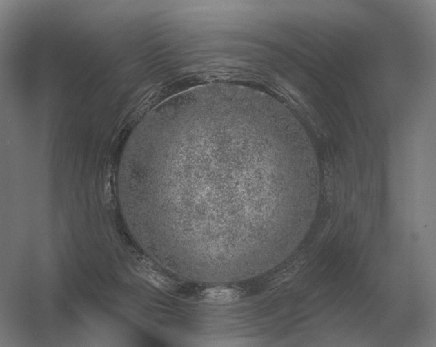 X0000056370169200509021824