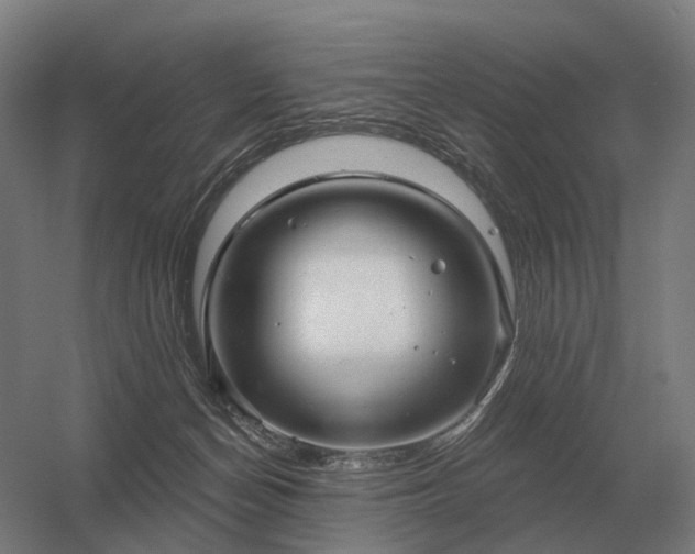 X0000056370174200509021824