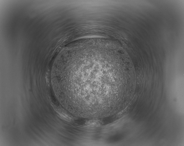 X0000056370175200509021824