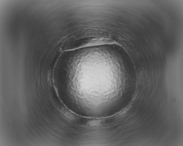 X0000056370178200509021824