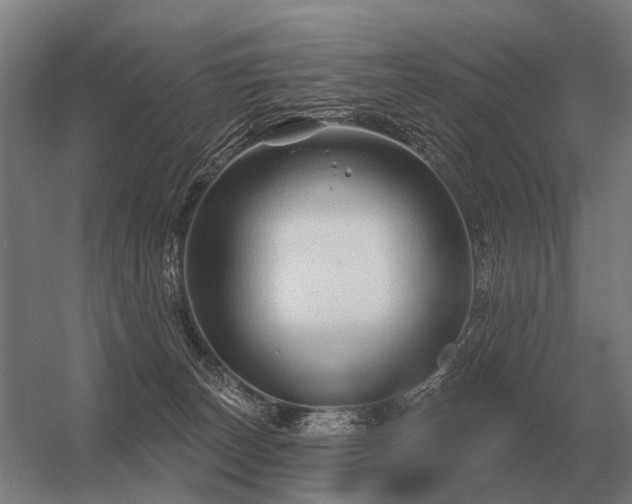 X0000056370179200509021824