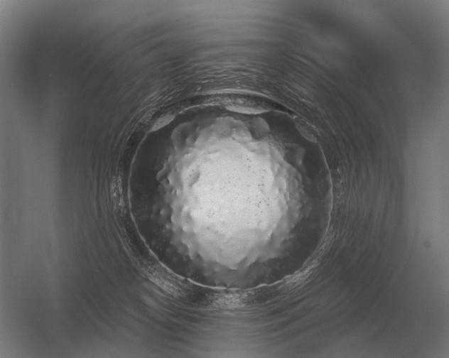 X0000056370182200509021824