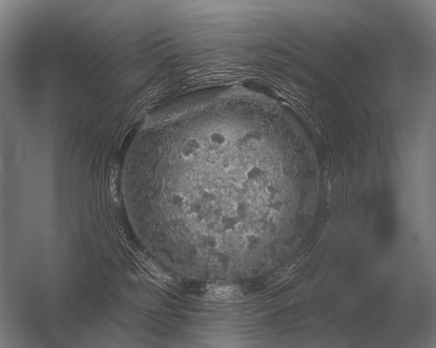 X0000056370185200509021824