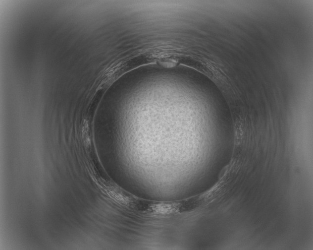 X0000056370187200509021824