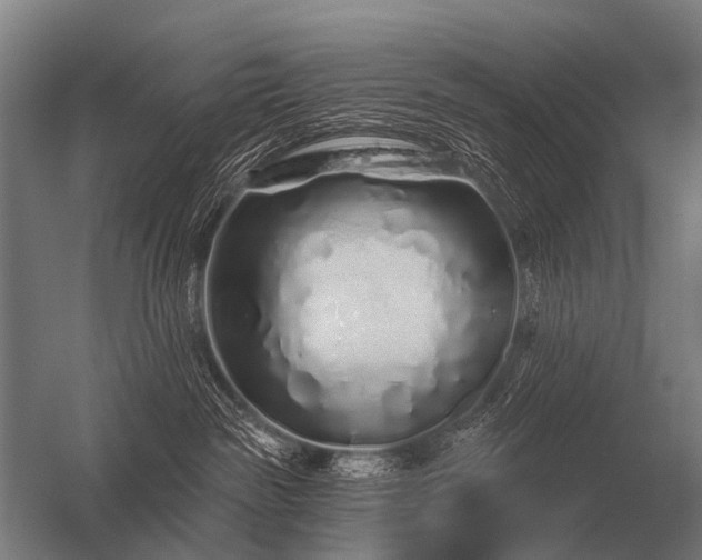 X0000056370189200509021824